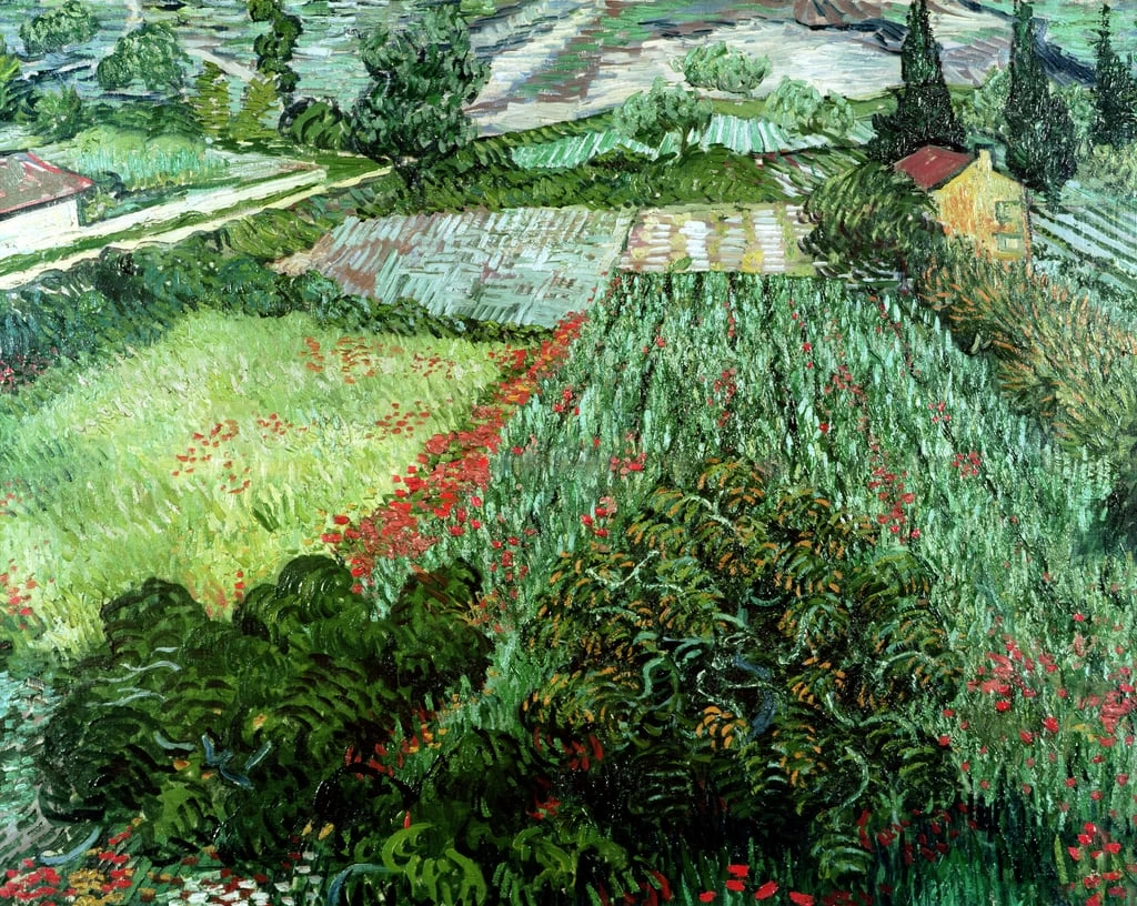 30-Vincent van Gogh-Campo di papaveri, 1889 - Kunsthalle, Bremen 